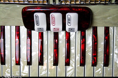 Ivory and red colored accordion instrument