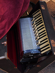 Accordion inside a case