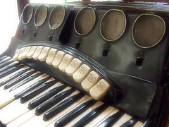 Old accordion instrument