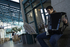 An accordion player